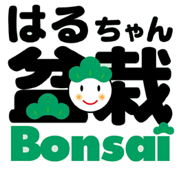 はるちゃん盆栽へようこそ